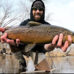 Tyler Brill brown trout